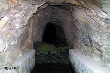 Fuente Espino