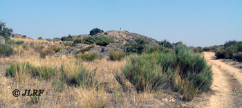 Camino