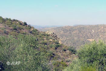 Mirador