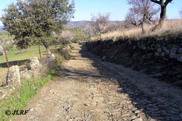 Calzada Vieja