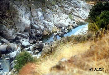 Cañón en Águeda