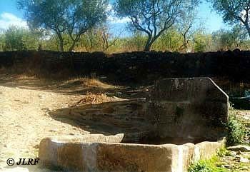 Caño Palomas