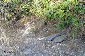 Fuente Mailla