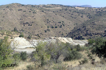 Cantera