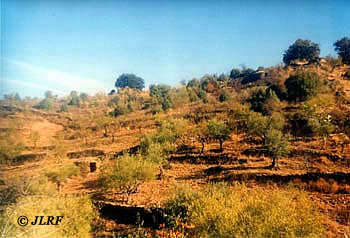 Chozos Peraguda