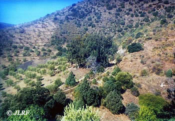 Curva Porrera
