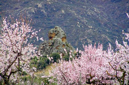 Peña Redonda