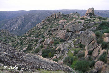 Bajada ferrocarril