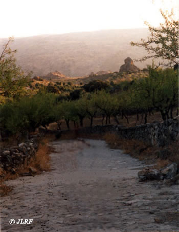 Cuesta Mariñón
