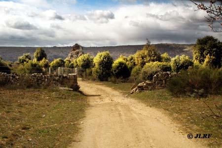 Peña Redonda