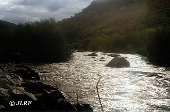 Río Águeda