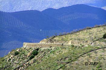 Mirador tumbo Caldera
