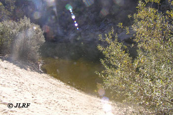 Playa Águeda