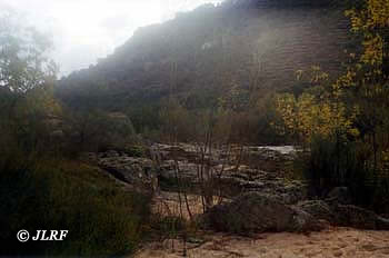 Río Águeda
