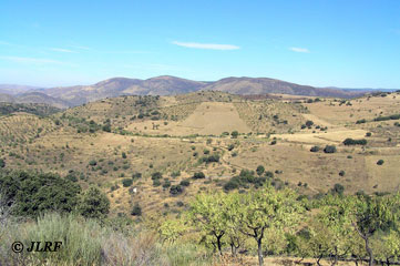 Carretera