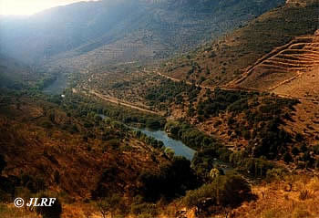 Río Águeda
