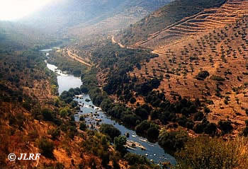 Río Águeda
