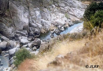 Río Águeda