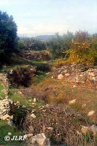 Arroyo de la Alameda de Esteban