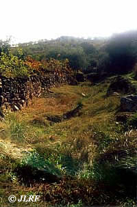 Arroyo de la Alameda de Esteban