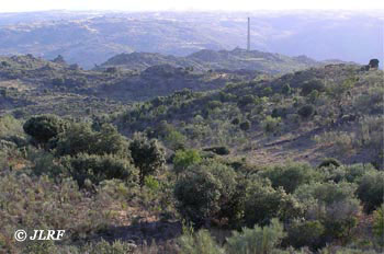 Arroyo de Cebrón y de la Fuente Herrera
