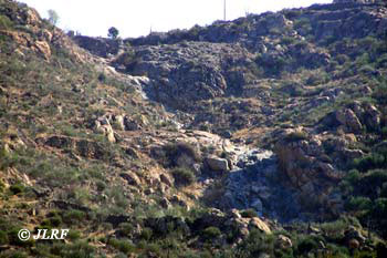 Arroyo de Cebrón y de la Fuente Herrera