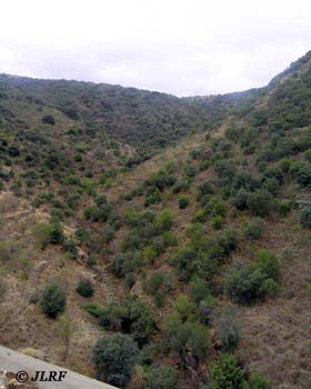 Arroyo de Castilmoro