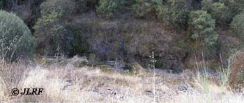 Arroyo de la Fuente Espino