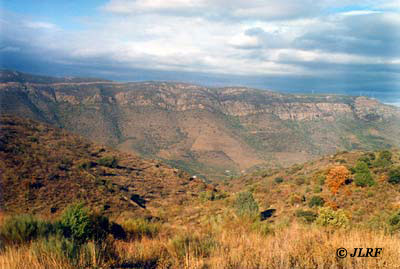 Arroyo del Infierno