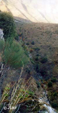 Arroyo del Infierno