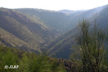 Arroyo Lugar