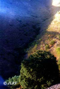 Arroyo Lugar