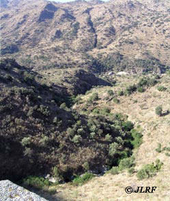 Arroyo Lugar
