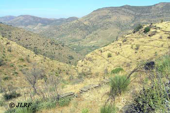 Arroyo de las Moras