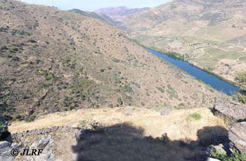Arroyo de las Moras