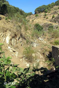 Arroyo del Pingallo
