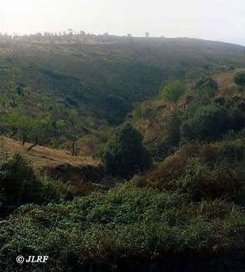 Arroyo de los Poyos