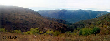 Arroyo de los Poyos