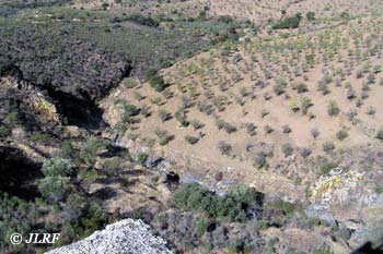 Arroyo de los Poyos