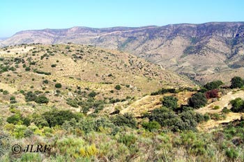 Arroyo de las Viñas