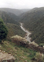 Cauce del Águeda