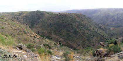 Arroyo Lugar