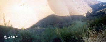 Rivera de Froya