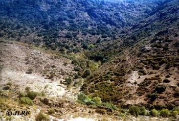 Río Morgaez