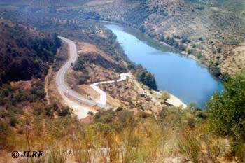 Río Águeda