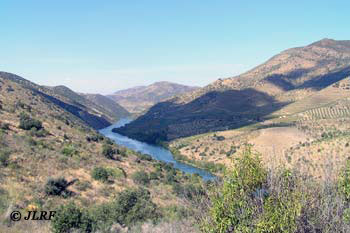 Río Duero