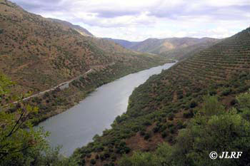 Río Duero