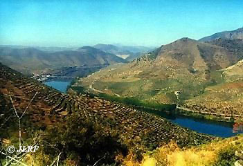 Río Duero