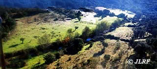 Rivera de Froya