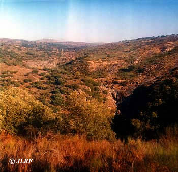 Rivera de Froya
